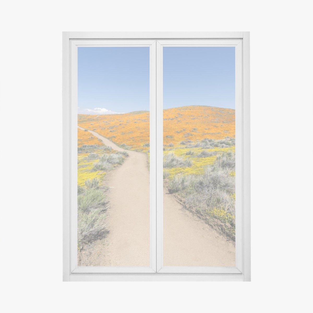 Window decal path through poppy super bloom in Southern California