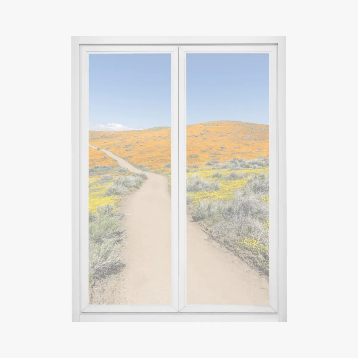 Naklejka na okno ścieżka przez makowy super bloom w Południowej Kalifornii – Wallissimo® Naklejka na okno ścieżka przez makowy super bloom w Południowej Kalifornii – Wallissimo®