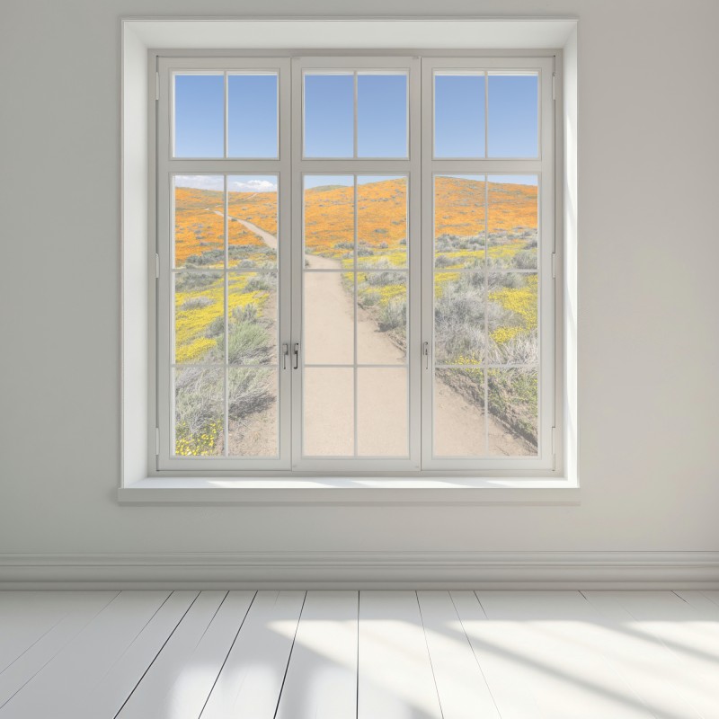 Naklejka na okno ścieżka przez makowy super bloom w Południowej Kalifornii – Wallissimo® Naklejka na okno ścieżka przez makowy super bloom w Południowej Kalifornii – Wallissimo®