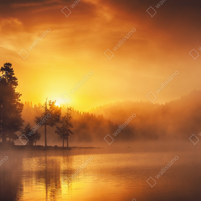 Naklejka na okno złoty wschód słońca nad mglistym jeziorem – Wallissimo® Naklejka na okno złoty wschód słońca nad mglistym jeziorem – Wallissimo®