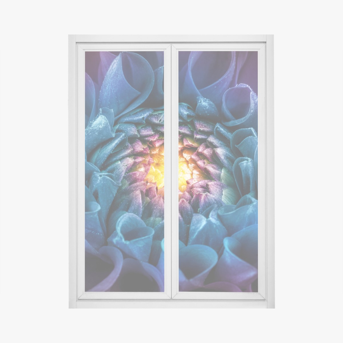 Window decal vibrant blue chrysanthemum close-up