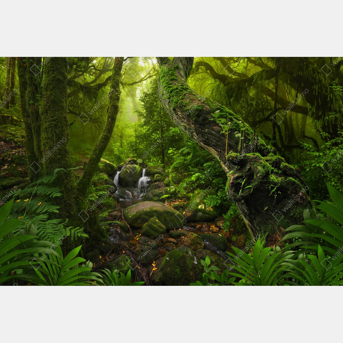 Naklejka na okno mchy i strumień w porannym świetle – Wallissimo® Naklejka na okno mchy i strumień w porannym świetle – Wallissimo®