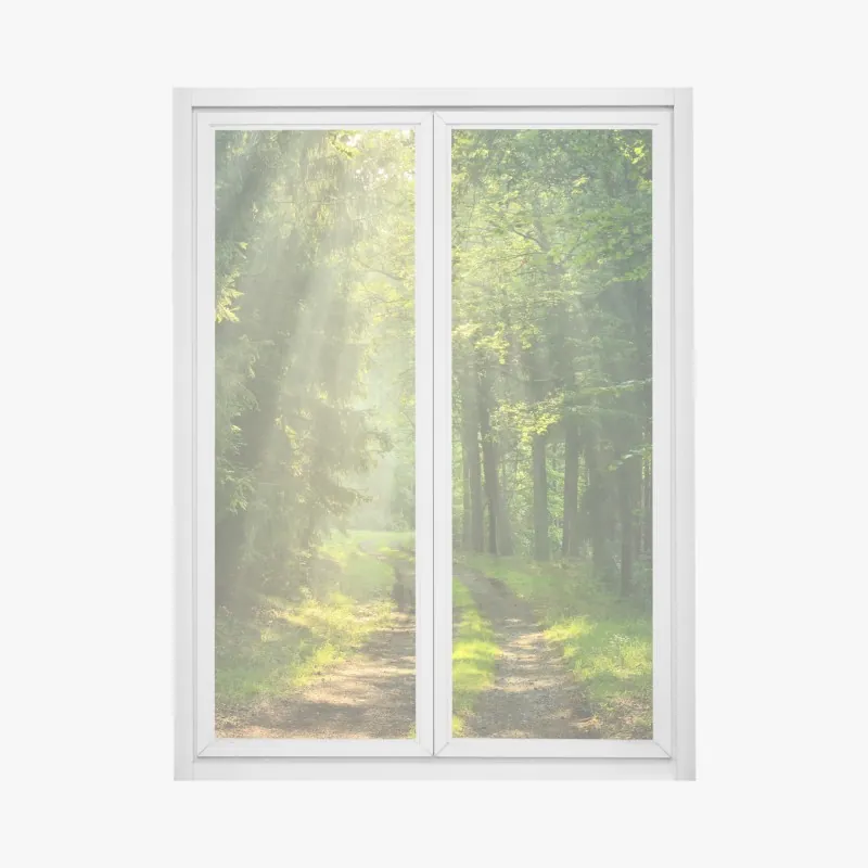 Naklejka na okno słoneczna ścieżka w lesie