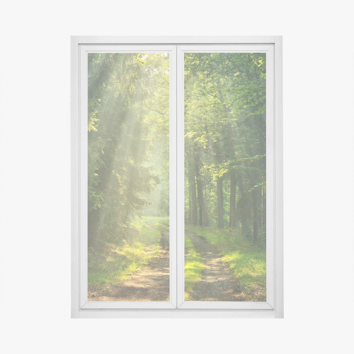 Window decal sunlit forest path
