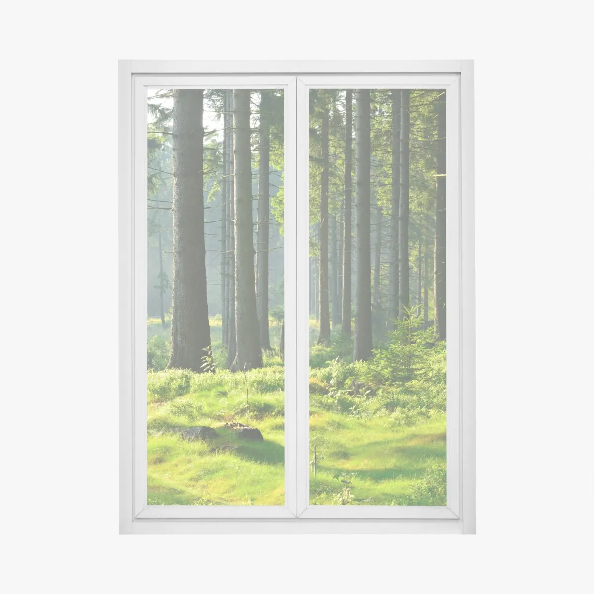 Naklejka na okno słoneczna zielona polana w lesie – Wallissimo® Naklejka na okno słoneczna zielona polana w lesie – Wallissimo®