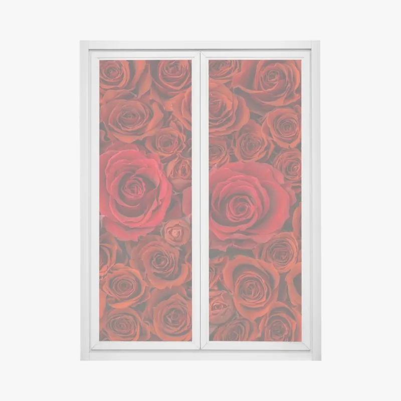 Naklejka na okno bukiet czerwonych róż w zbliżeniu