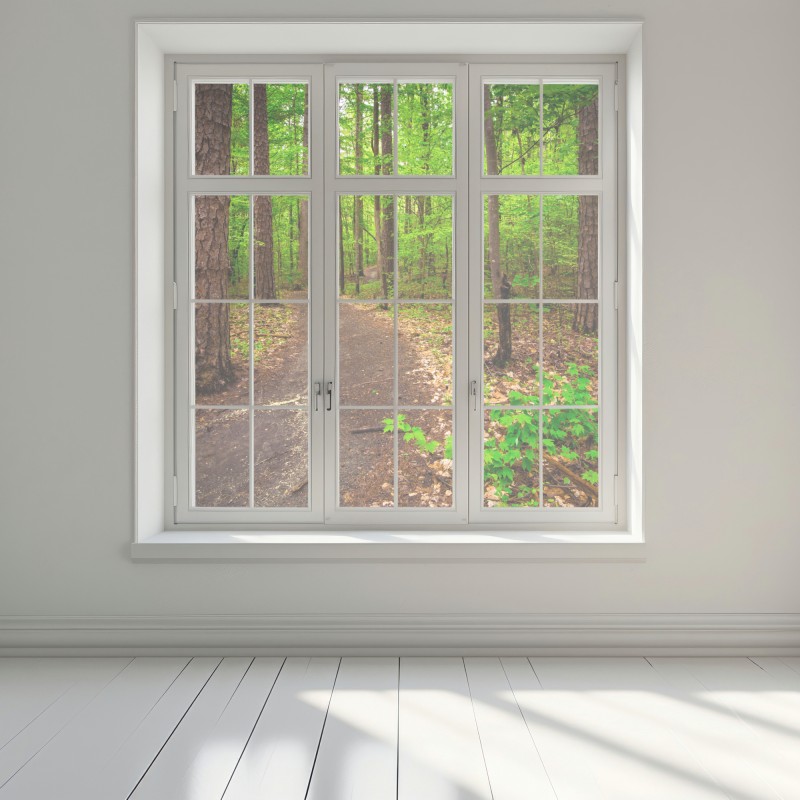 Naklejka na okno spokojna zielona ścieżka leśna – Wallissimo® Naklejka na okno spokojna zielona ścieżka leśna – Wallissimo®