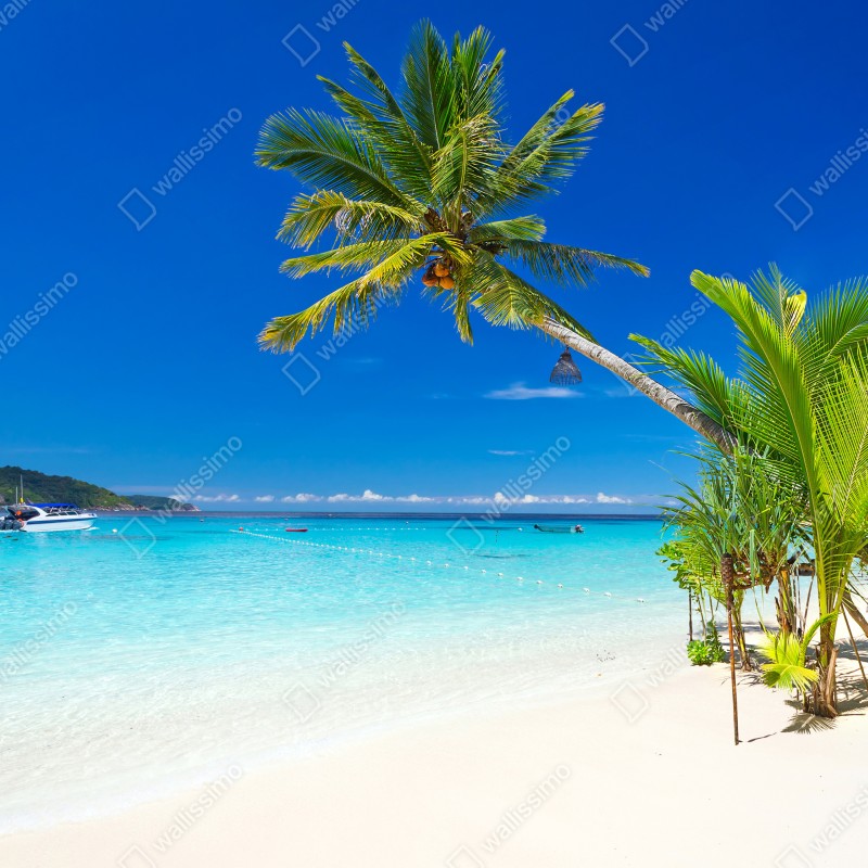 Naklejka na lodówkę tropikalna plaża w Tajlandii – Wallissimo® Naklejka na lodówkę tropikalna plaża w Tajlandii – Wallissimo®