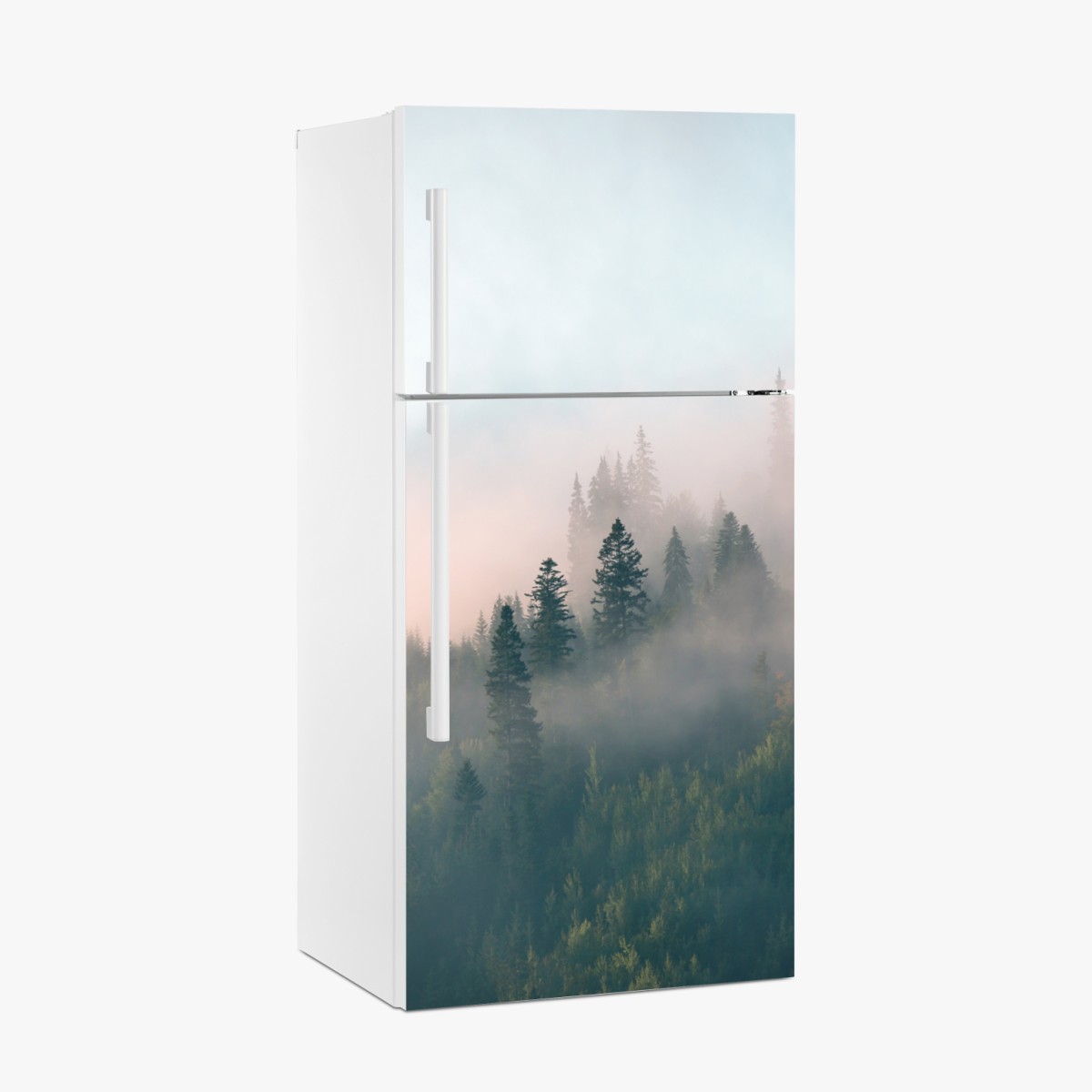Fridge sticker misty morning forest landscape