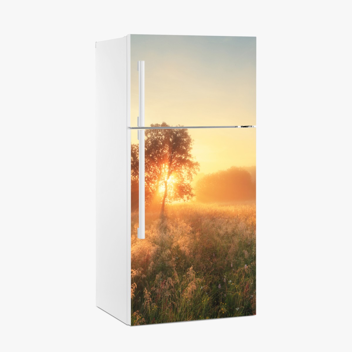 Fridge sticker golden sunrise over misty meadow