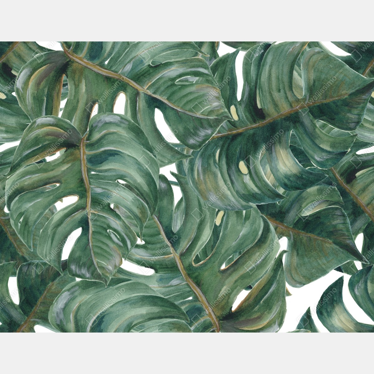 Naklejka na lodówkę malowane akwarelą liście monstery – Wallissimo® Naklejka na lodówkę malowane akwarelą liście monstery – Wallissimo®