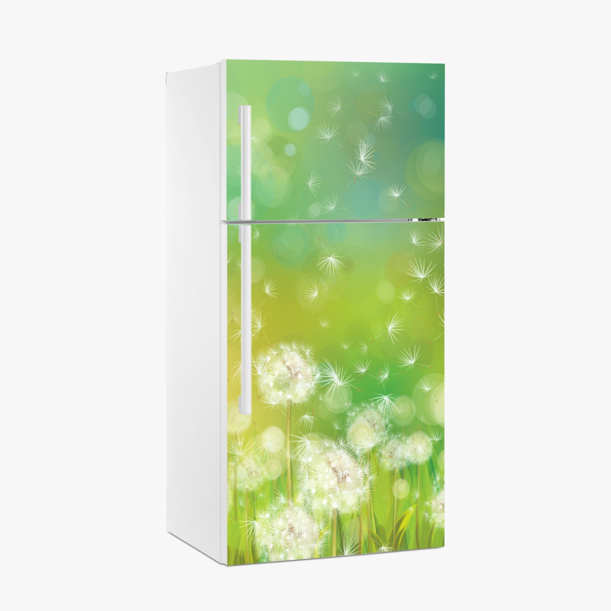 Fridge sticker spring dandelion meadow