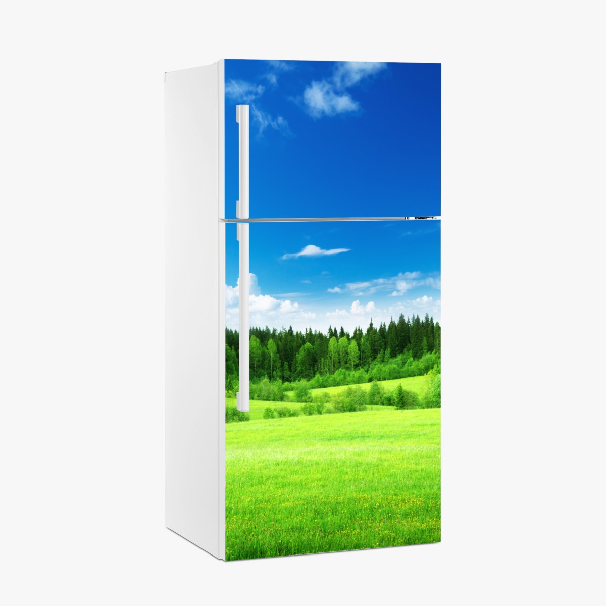 Fridge sticker spring meadow under a blue sky