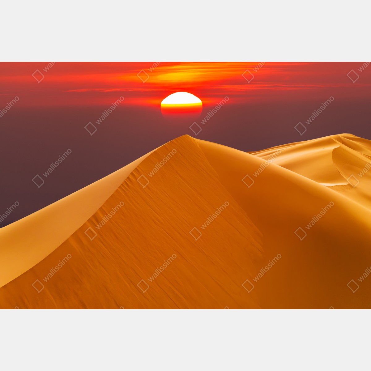 Naklejka na lodówkę złoty zachód słońca nad wydmami pustyni – Wallissimo® Naklejka na lodówkę złoty zachód słońca nad wydmami pustyni – Wallissimo®