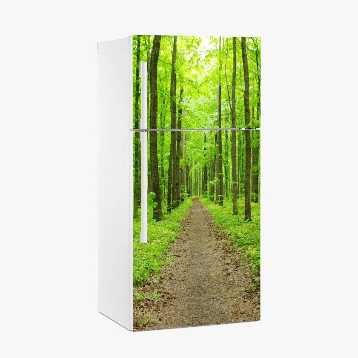 Naklejka na lodówkę spokojna zielona ścieżka w lesie – Wallissimo® Naklejka na lodówkę spokojna zielona ścieżka w lesie – Wallissimo®