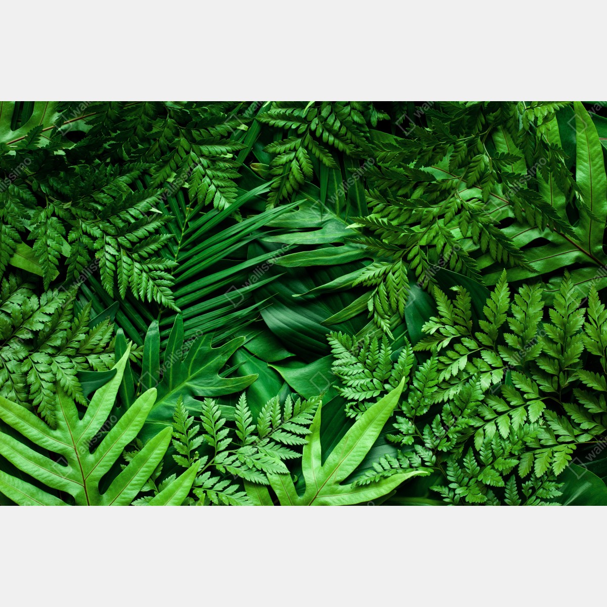 Naklejka na lodówkę bujny zielony wzór liści – Wallissimo® Naklejka na lodówkę bujny zielony wzór liści – Wallissimo®