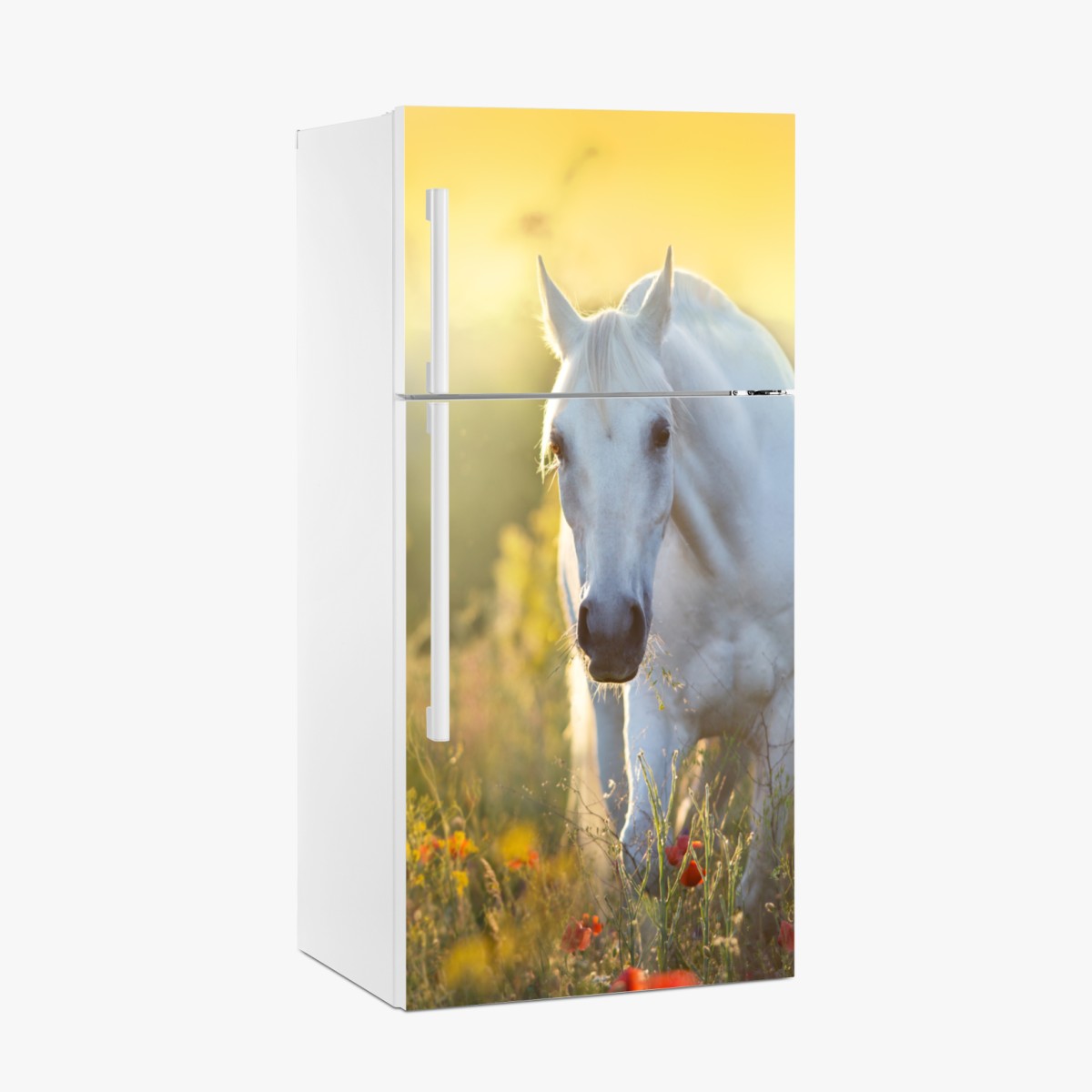Fridge sticker white horse in poppy meadow at sunrise