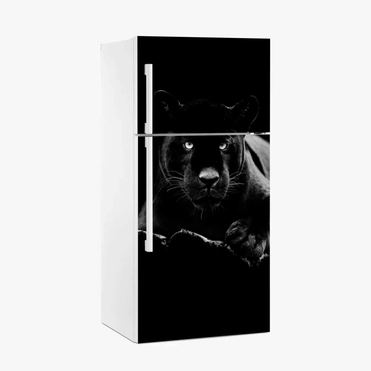 Naklejka na lodówkę majestatyczny portret czarnej pantery – Wallissimo® Naklejka na lodówkę majestatyczny portret czarnej pantery – Wallissimo®