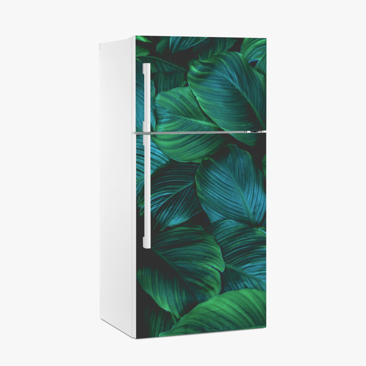 Fridge sticker lush tropical leaves art