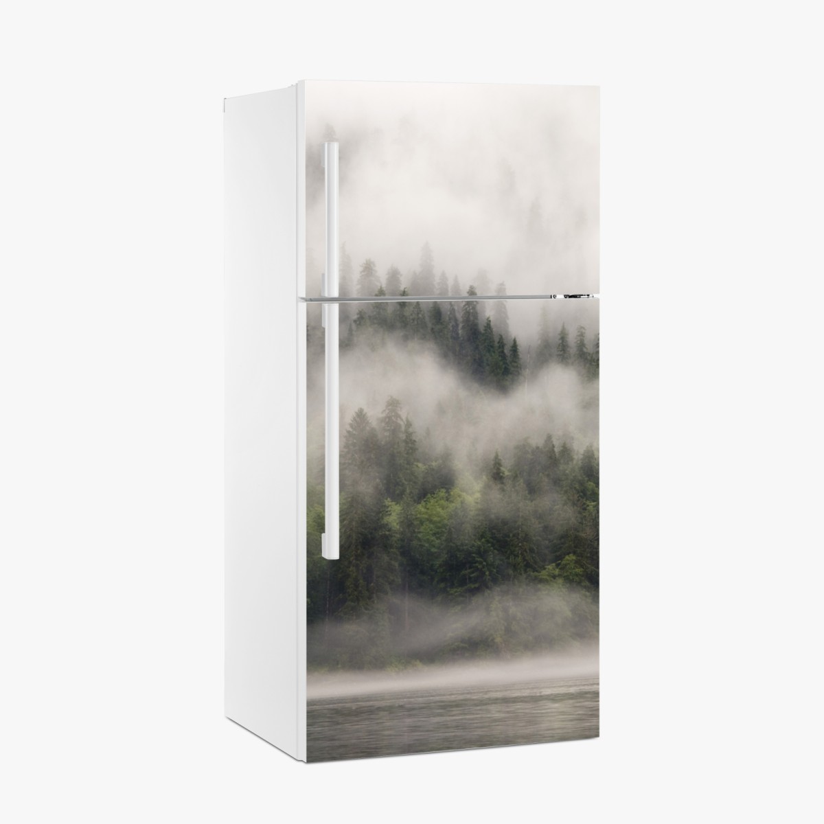 Fridge sticker misty coastal forest, British Columbia