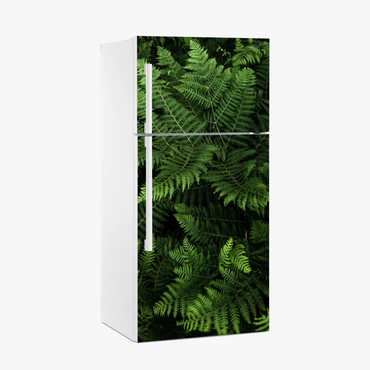 Fridge sticker lush green fern foliage