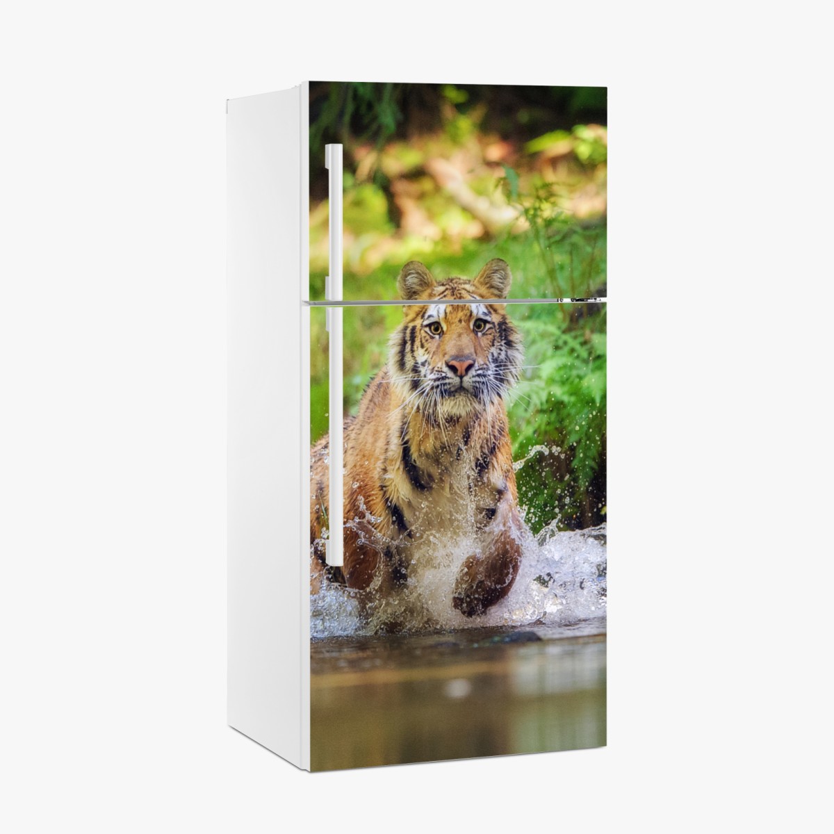 Fridge sticker majestic tiger in forest stream