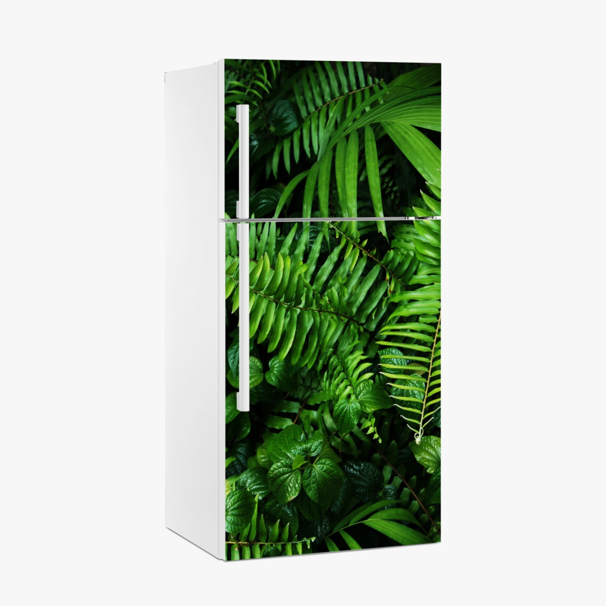Fridge sticker lush tropical fern leaves