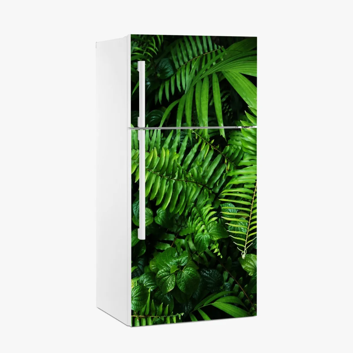 Naklejka na lodówkę bujne tropikalne liście paproci – Wallissimo® Naklejka na lodówkę bujne tropikalne liście paproci – Wallissimo®