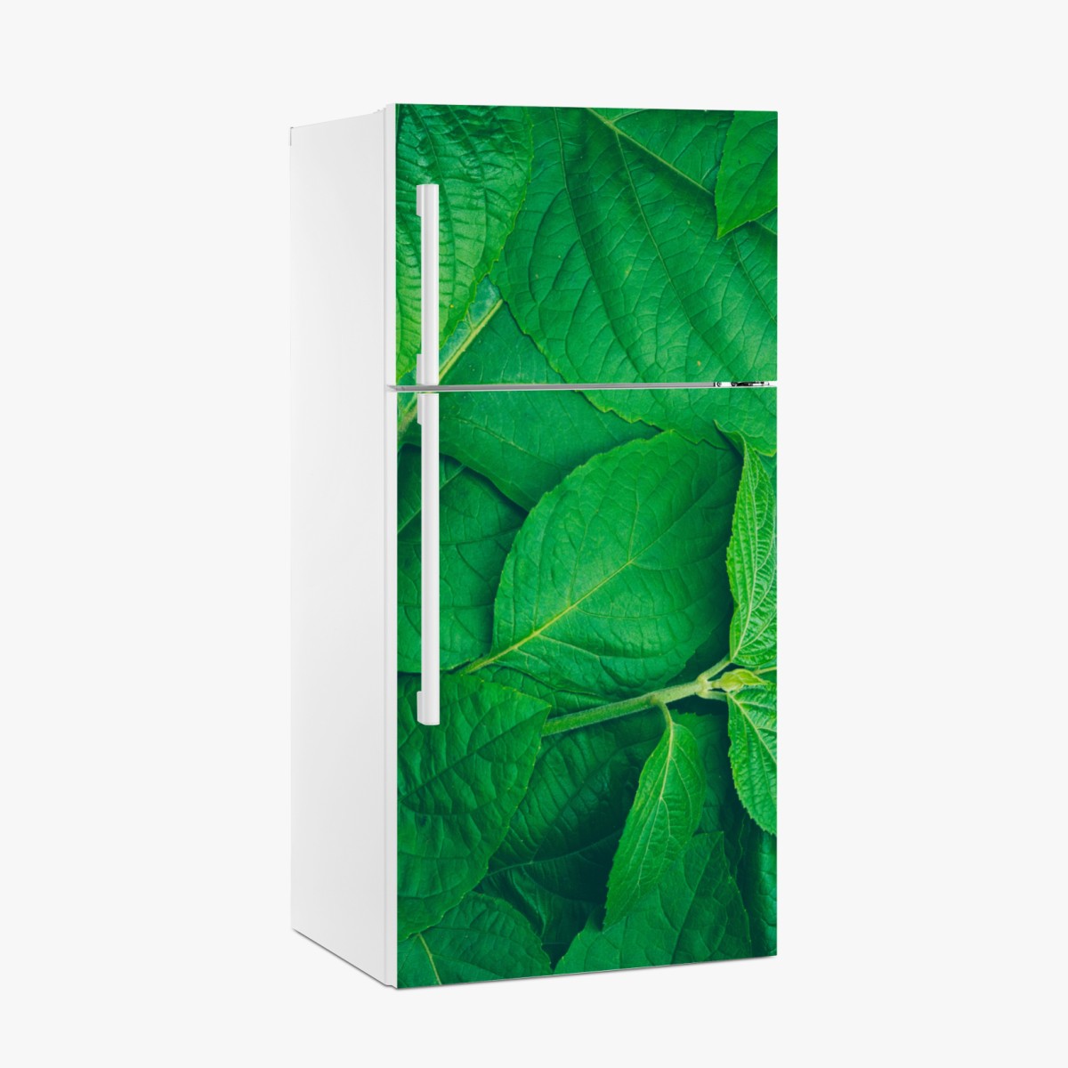 Fridge sticker lush green leaves texture