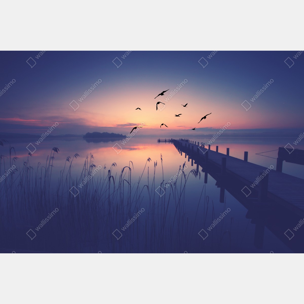 Naklejka na lodówkę spokojny wschód nad jeziorem z ptakami – Wallissimo® Naklejka na lodówkę spokojny wschód nad jeziorem z ptakami – Wallissimo®