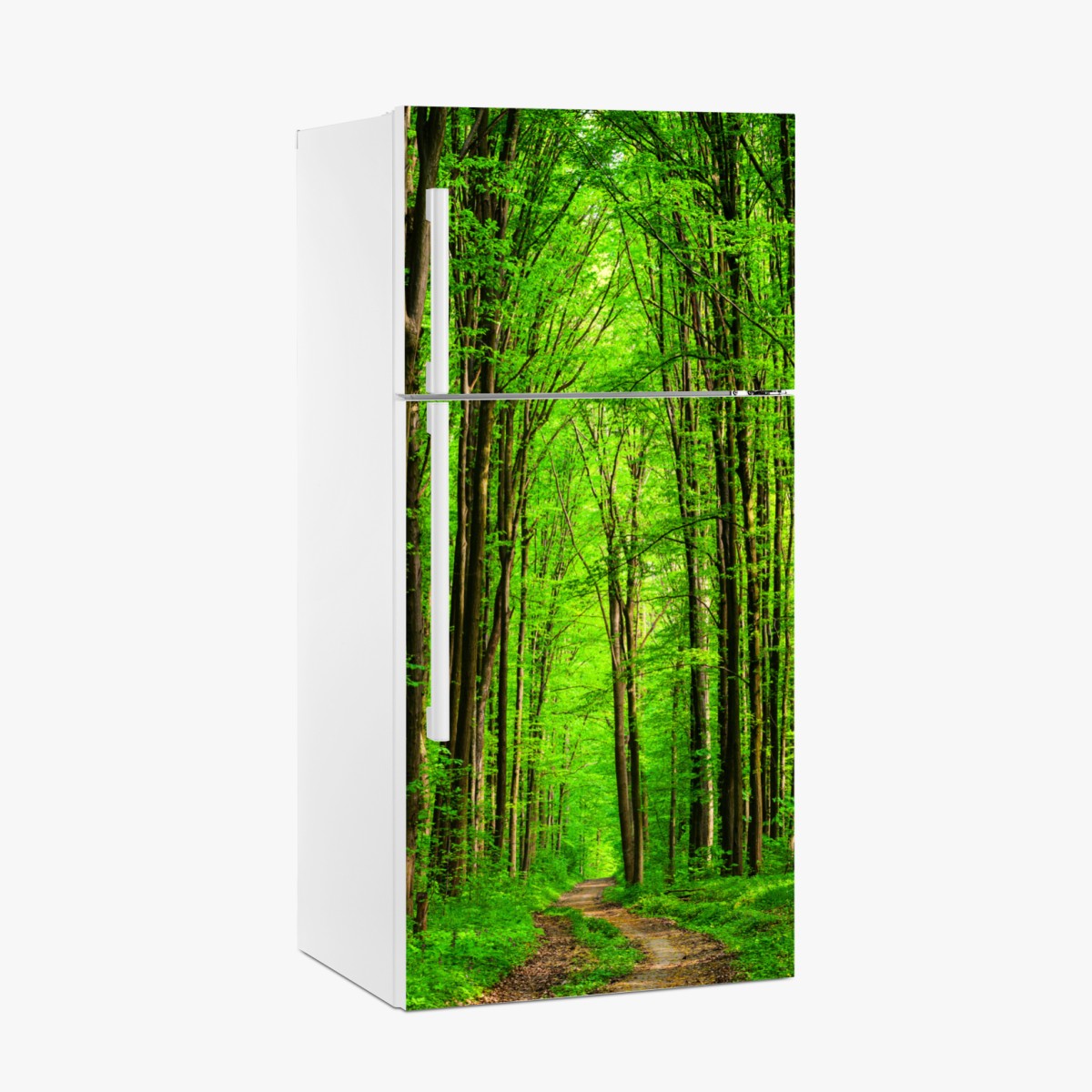 Fridge sticker lush green forest pathway
