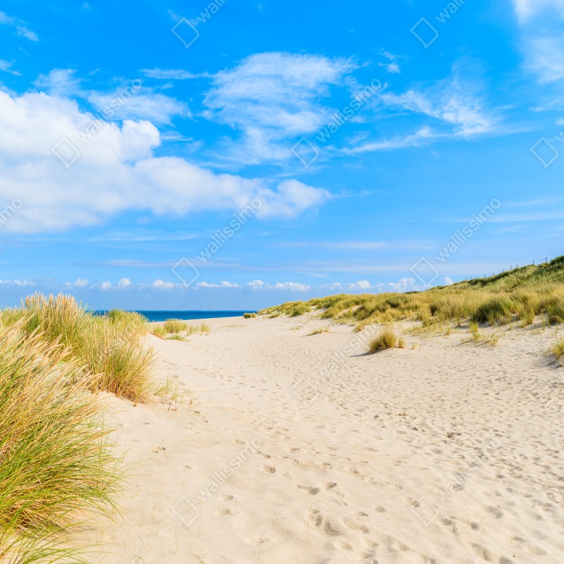 Naklejka na lodówkę spokojne wydmy Sylt z latarnią morską – Wallissimo® Naklejka na lodówkę spokojne wydmy Sylt z latarnią morską – Wallissimo®