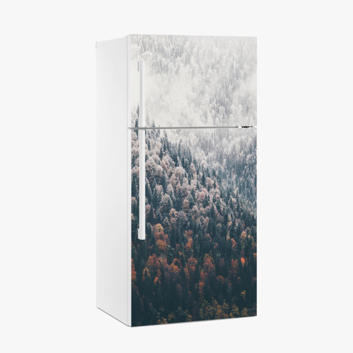 Fridge sticker misty autumn forest on snowy mountain