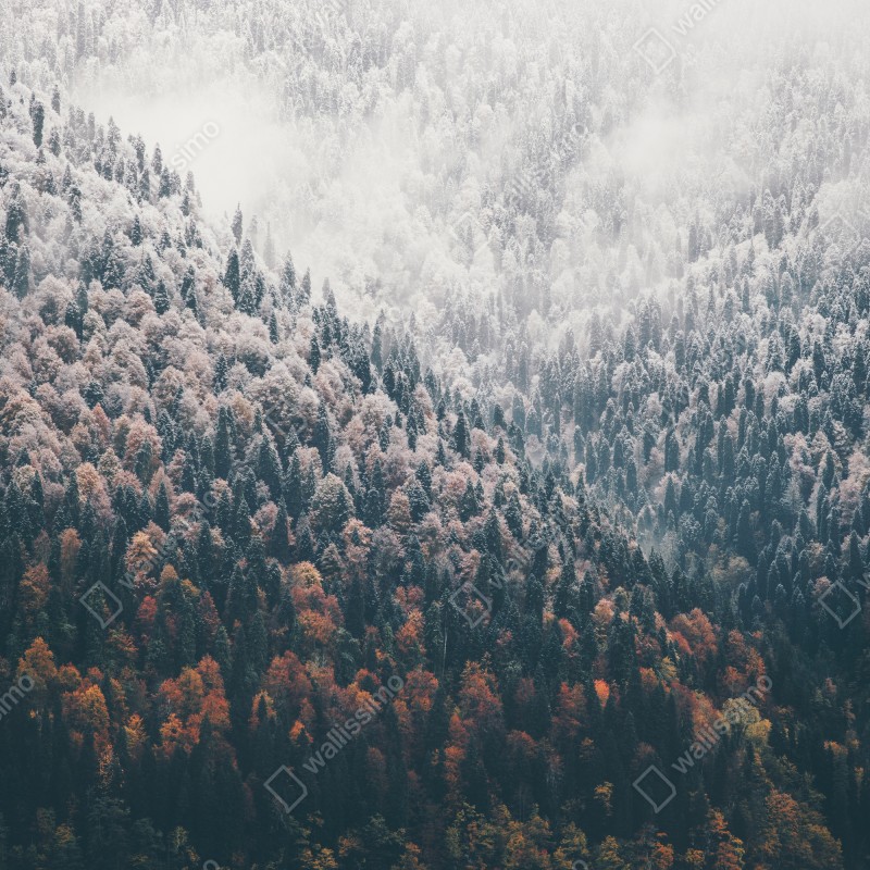 Naklejka na lodówkę mglisty jesienny las na śnieżnej górze – Wallissimo® Naklejka na lodówkę mglisty jesienny las na śnieżnej górze – Wallissimo®