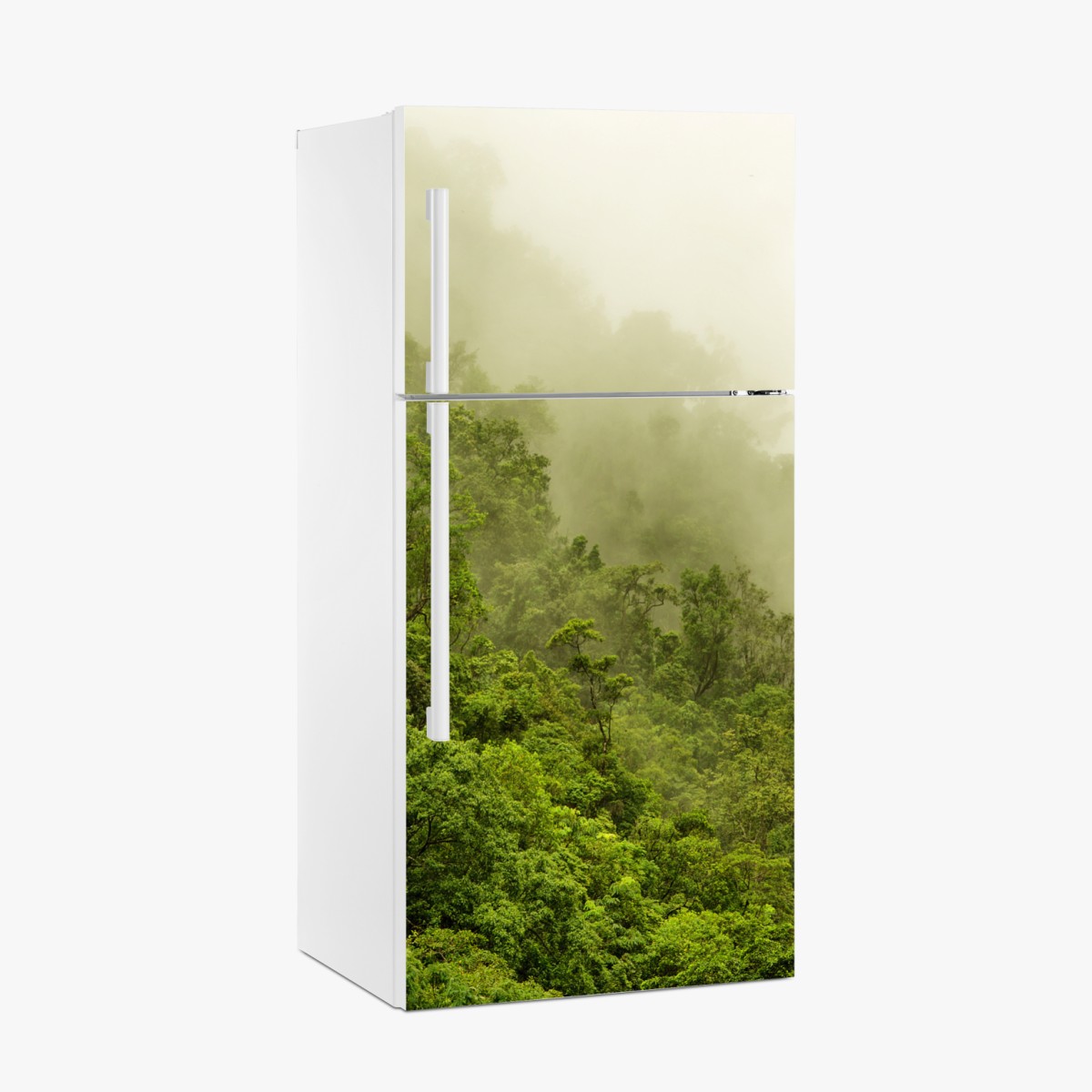 Fridge sticker misty rainforest near Cairns
