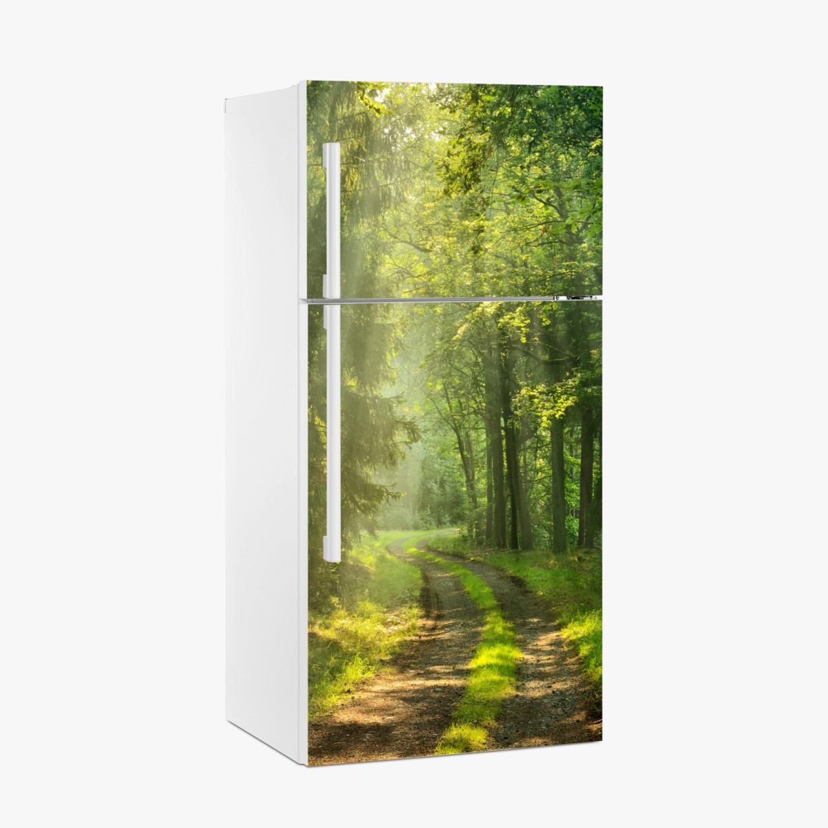 Fridge sticker sunlit forest path