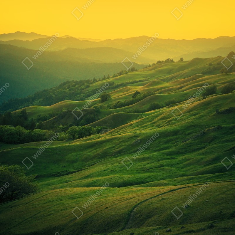 Naklejka na lodówkę falujące wzgórza Północnej Kalifornii o zachodzie słońca – Wallissimo® Naklejka na lodówkę falujące wzgórza Północnej Kalifornii o zachodzie słońca – Wallissimo®