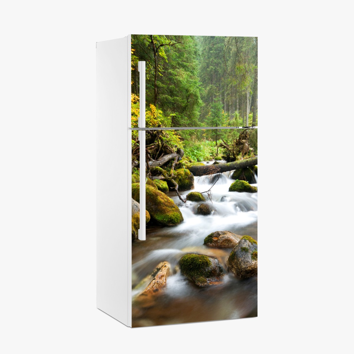 Fridge sticker mossy forest stream in autumn