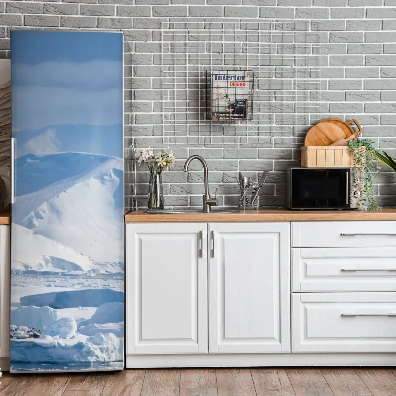 Naklejka na lodówkę różowa papuga i chryzantema - botaniczny motyw – Wallissimo®