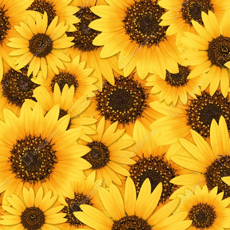 Naklejka na lodówkę złote słoneczniki – Wallissimo® Naklejka na lodówkę złote słoneczniki – Wallissimo®