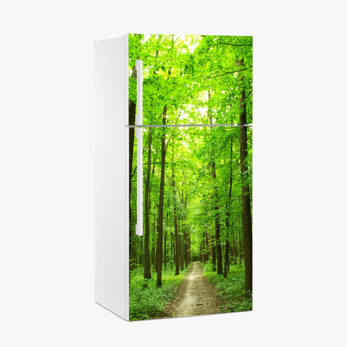 Fridge sticker tranquil forest pathway
