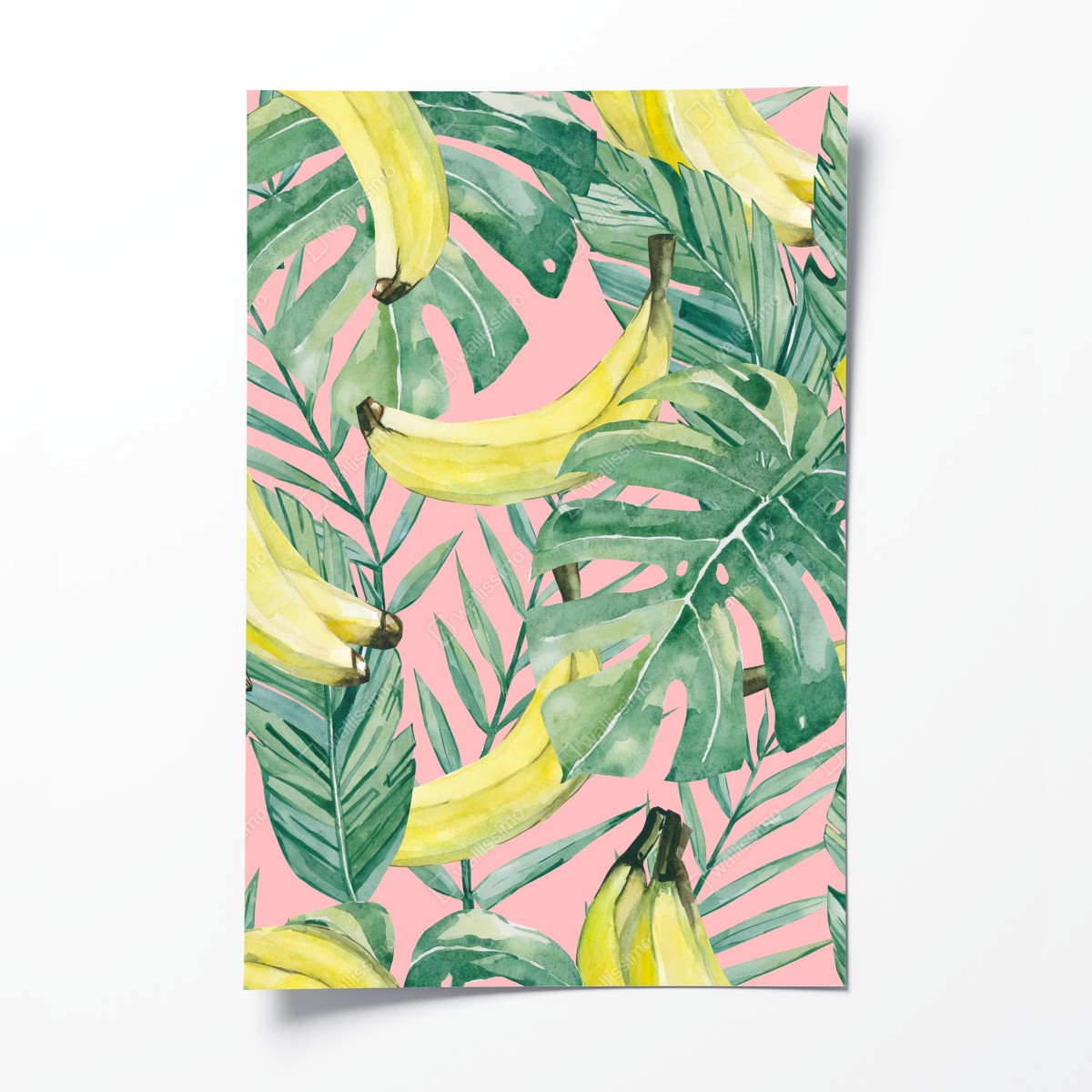 Poster watercolor banana leaves pattern on pink