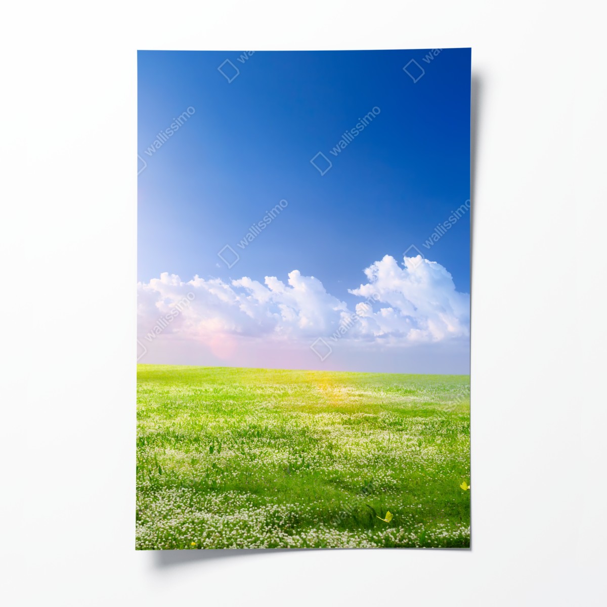 Poster sunny spring meadow with blue sky