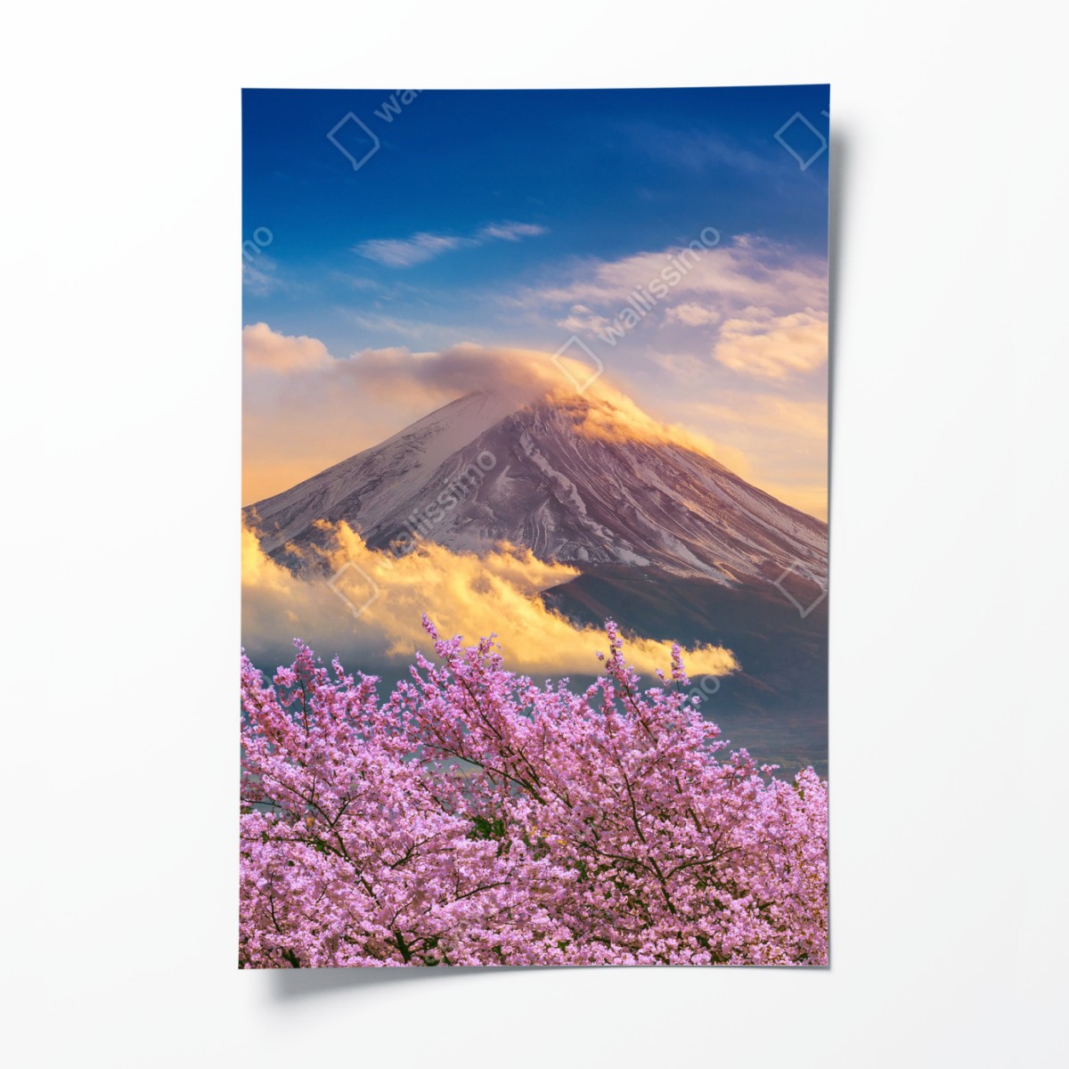 Poster Mount Fuji with cherry blossoms at sunrise
