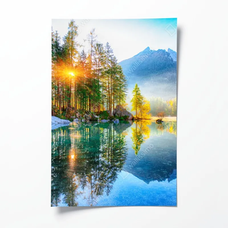 Plakat żywy ogród tulipanów w Keukenhof – Wallissimo®