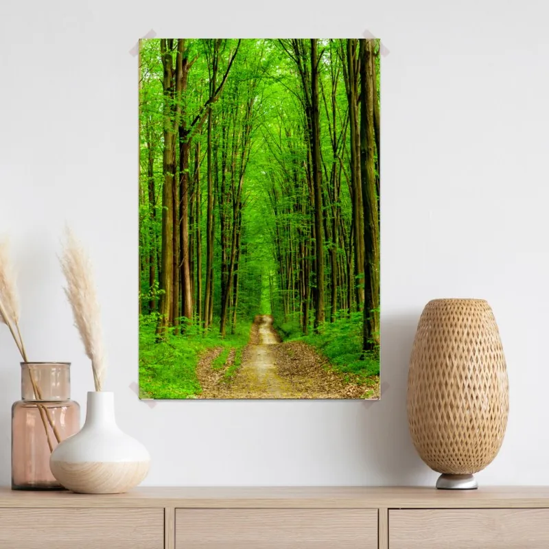 Plakat zielona leśna ścieżka wiosną – Wallissimo® Plakat zielona leśna ścieżka wiosną – Wallissimo®