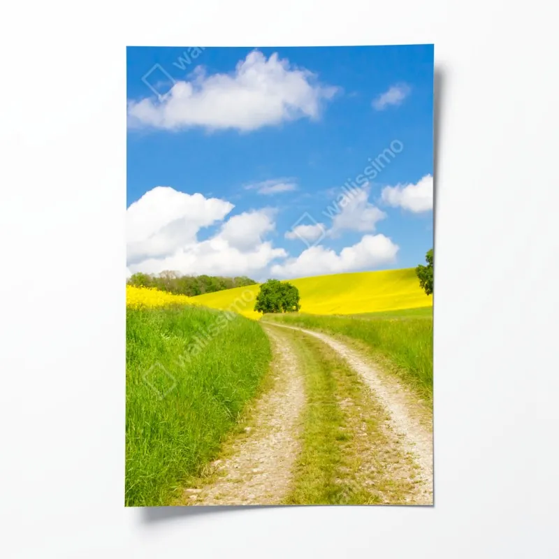 Plakat płyta winylowa i nogi w kabaretkach – Wallissimo®