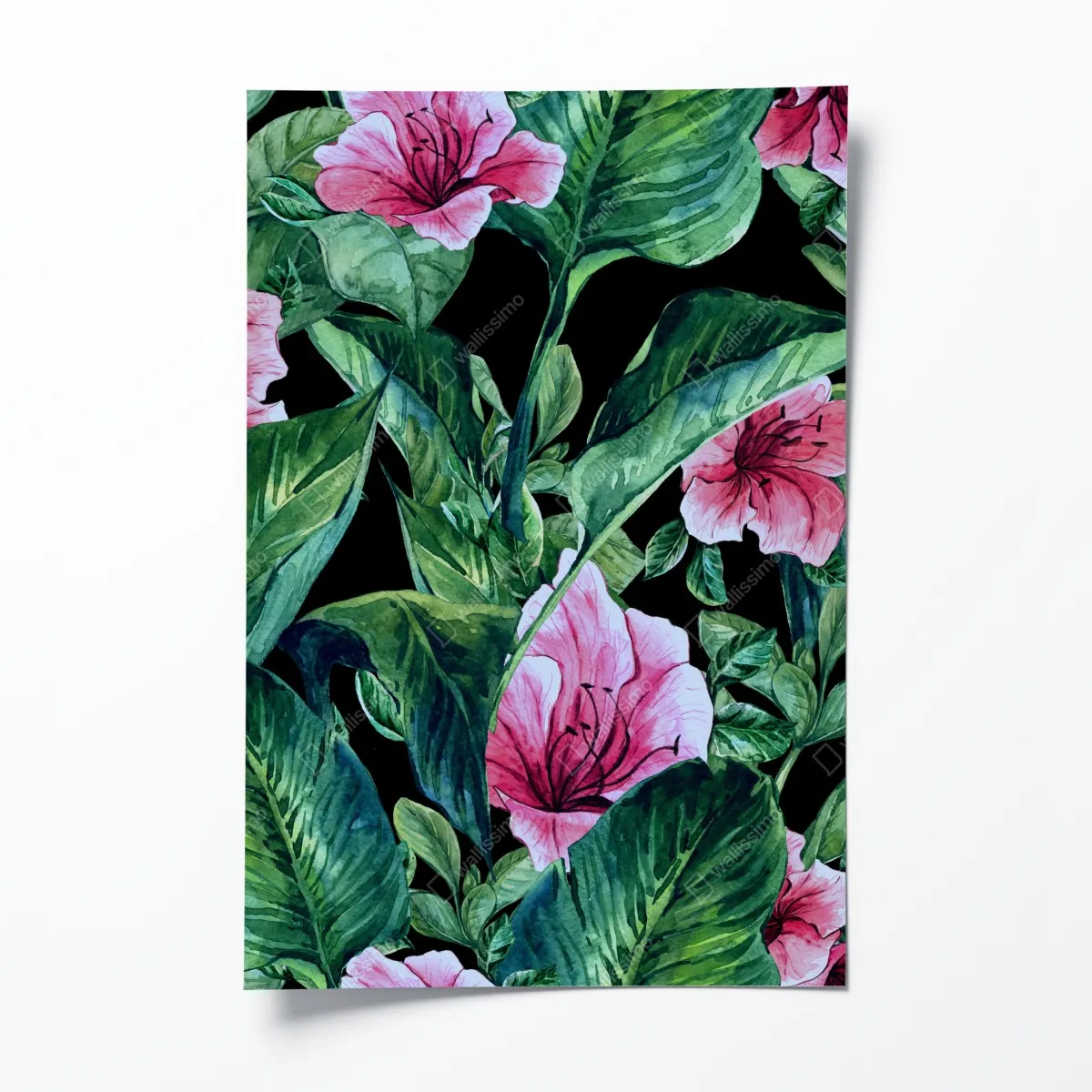Plakat różowe akwarelowe kwiaty na czarnym tle – Wallissimo® Plakat różowe akwarelowe kwiaty na czarnym tle – Wallissimo®