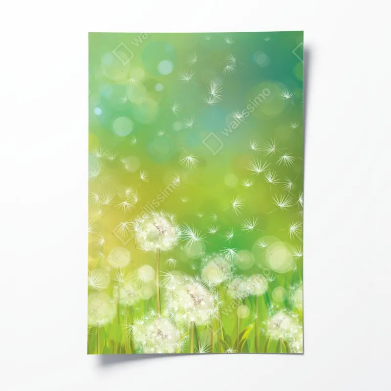 Plakat wiosenna łąka dmuchawców