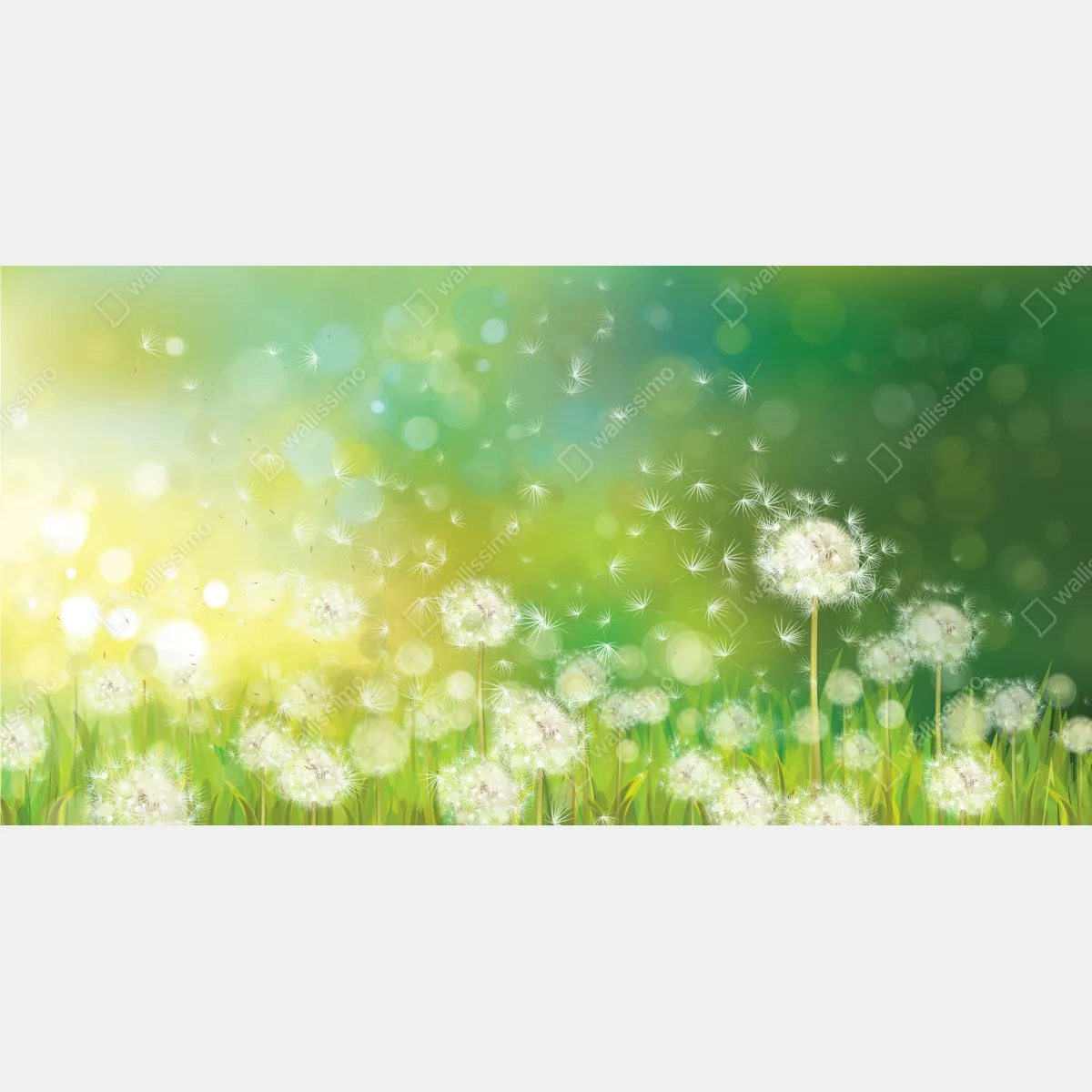 Plakat wiosenna łąka dmuchawców – Wallissimo® Plakat wiosenna łąka dmuchawców – Wallissimo®